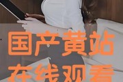 国产黄站,探索中国网络文化新趋势